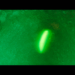 00065.m2ts_snapshot_00.06.53_[2012.09.14_16.31.58]