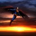 CW-CR-winged-wp