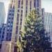 CW-NYC-Christmas-tree-1994-01