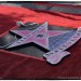 CW-Reeve-star-14
