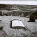 CW-STM-Smallville-cemetary-polaroid-01