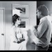 CW-honeymoon-haven-cs-1