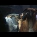 CapedWonder-Superman-The-Movie-2006-expanded-Blu-ray-screenshot-580