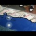 CapedWonder-Superman-The-Movie-2006-expanded-Blu-ray-screenshot-634