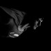 IMG_9633_b&w-a