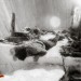 S2-Clark_collapse1