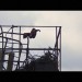 vlcsnap-00957